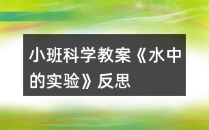 小班科學教案《水中的實驗》反思