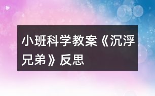 小班科學教案《沉浮兄弟》反思