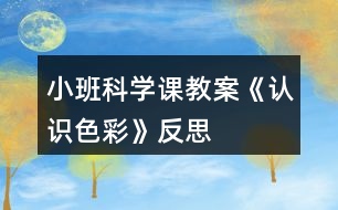 小班科學(xué)課教案《認(rèn)識色彩》反思