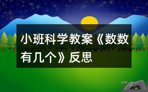 小班科學教案《數(shù)數(shù)有幾個》反思