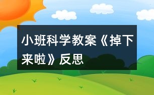 小班科學(xué)教案《掉下來(lái)啦》反思