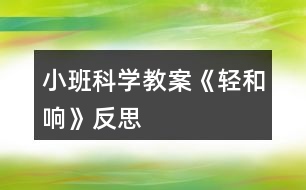 小班科學(xué)教案《輕和響》反思