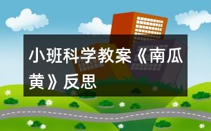 小班科學教案《南瓜黃》反思