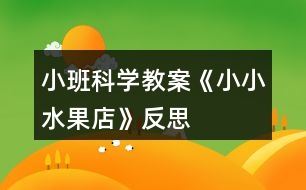 小班科學(xué)教案《小小水果店》反思