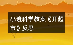 小班科學(xué)教案《開超市》反思