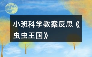 小班科學教案反思《蟲蟲王國》