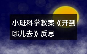 小班科學(xué)教案《開(kāi)到哪兒去》反思