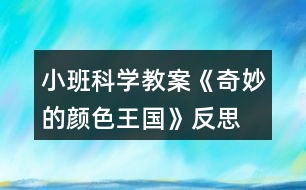 小班科學(xué)教案《奇妙的顏色王國(guó)》反思