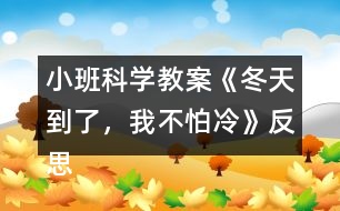 小班科學(xué)教案《冬天到了，我不怕冷》反思