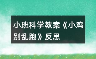 小班科學教案《小雞別亂跑》反思