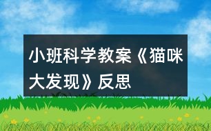 小班科學(xué)教案《貓咪大發(fā)現(xiàn)》反思