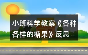 小班科學教案《各種各樣的糖果》反思