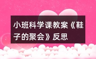 小班科學(xué)課教案《鞋子的聚會(huì)》反思