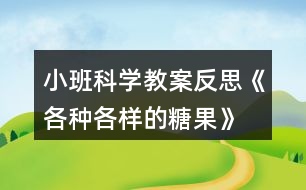 小班科學教案反思《各種各樣的糖果》