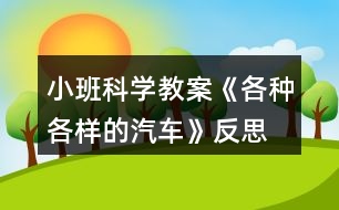 小班科學教案《各種各樣的汽車》反思