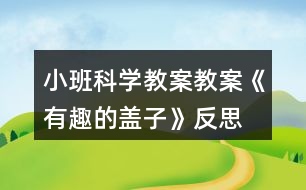 小班科學(xué)教案教案《有趣的蓋子》反思