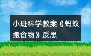 小班科學(xué)教案《螞蟻搬食物》反思