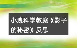 小班科學(xué)教案《影子的秘密》反思