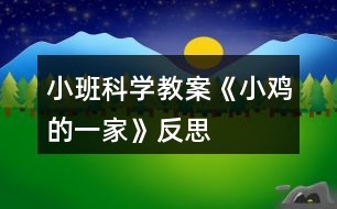 小班科學教案《小雞的一家》反思