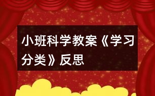 小班科學(xué)教案《學(xué)習(xí)分類》反思