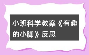 小班科學教案《有趣的小腳》反思