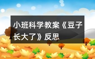 小班科學(xué)教案《豆子長(zhǎng)大了》反思