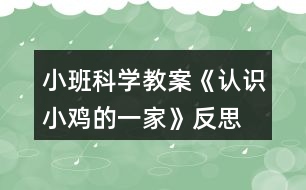 小班科學教案《認識小雞的一家》反思