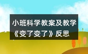 小班科學教案及教學《變了變了》反思