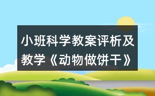 小班科學(xué)教案評析及教學(xué)《動物做餅干》反思