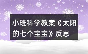 小班科學教案《太陽的七個寶寶》反思