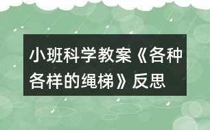 小班科學教案《各種各樣的繩梯》反思