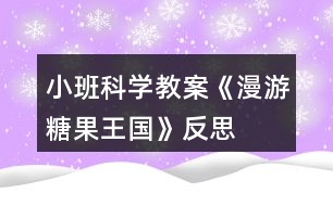 小班科學教案《漫游糖果王國》反思