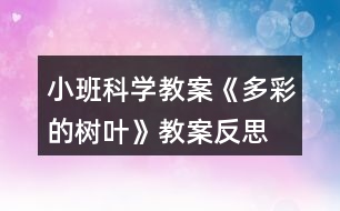 小班科學(xué)教案《多彩的樹(shù)葉》教案反思