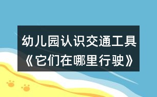 幼兒園認識交通工具《它們在哪里行駛》小班科學(xué)教案特征分類反思