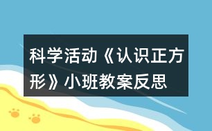 科學活動《認識正方形》小班教案反思