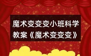 魔術變變變小班科學教案《魔術變變變》教案反思