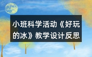 小班科學活動《好玩的冰》教學設計反思