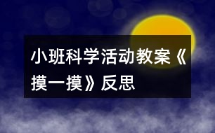 小班科學(xué)活動教案《摸一摸》反思