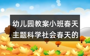 幼兒園教案小班春天主題科學(xué)社會春天的小喇叭迎春花