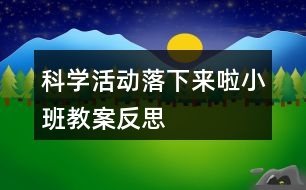 科學(xué)活動(dòng)落下來(lái)啦（小班教案）反思