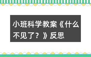 小班科學(xué)教案《什么不見了？》反思