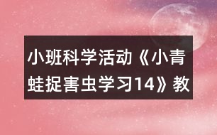 小班科學(xué)活動(dòng)《小青蛙捉害蟲學(xué)習(xí)14》教學(xué)設(shè)計(jì)反思