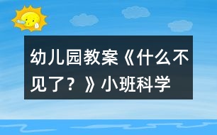 幼兒園教案《什么不見了？》小班科學(xué)