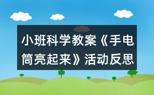 小班科學教案《手電筒亮起來》活動反思