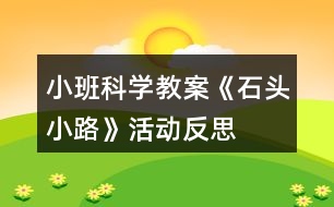 小班科學教案《石頭小路》活動反思