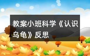 教案小班科學《認識烏龜》反思