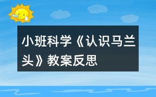 小班科學《認識馬蘭頭》教案反思