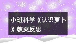 小班科學《認識蘿卜》教案反思