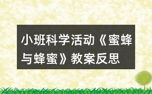 小班科學活動《蜜蜂與蜂蜜》教案反思