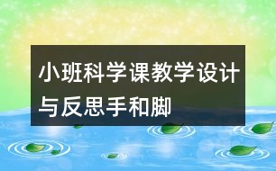 小班科學課教學設計與反思——手和腳